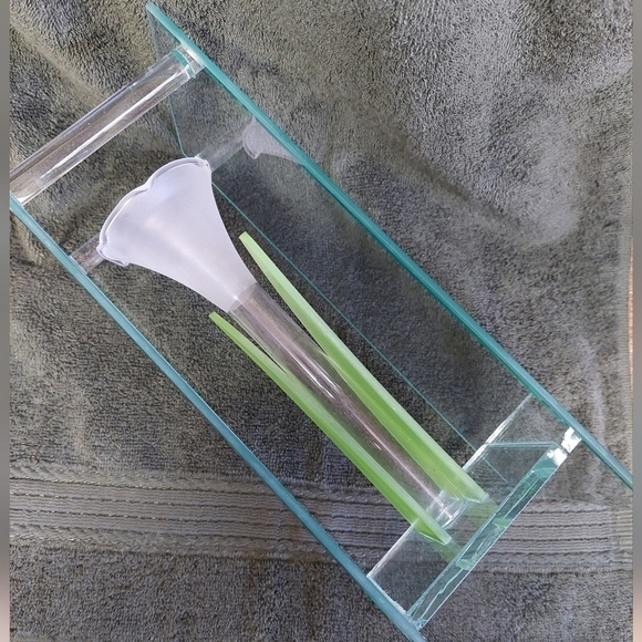 Vintage* CG Cressida Glass Tulip Vase - Picture 6 of 15